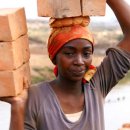 행복이 가득한 터 이미지