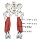 반송동055 이미지