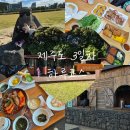 함덕농업협동조합 | 아이랑 제주도 여행 3일차, 함덕 고집돌우럭 에코랜드 밭디목장 하루 코스