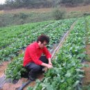 영성농장 이미지