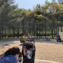 난지천4(놀이터) 이미지