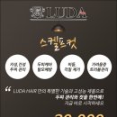 루다헤어 이미지