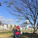 용인대 석사 서울시 대표 태권도 이미지