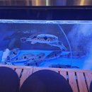 금수한의원 이미지