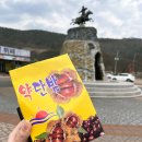온달특산품