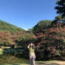 씨유어게인 이미지