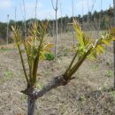 순이농장 이미지