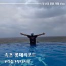 세븐일레븐 신장시장점 | 강원도 롯데리조트 속초 주니어 패밀리 스위트룸 오션뷰 객실 부대시설 이용 후기