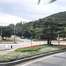 안산시청 앞 교통섬 이미지