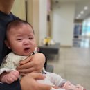 비알에스 | 4개월 남자 아기 요로감염 증상 및 원인, 치료방법 7일 입원한 후기