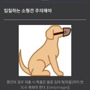 4월부턴 5대 맹견 아니어도 사람 물면 기질평가 대상 이미지