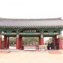제주 야자원 이미지