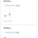 로엔필라테스