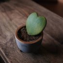 호야문구 이미지