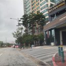 (주)아톰릭스랩 | 누워서 하는 체형관리 셀포랩제니스에서 휴가로 찐 살 빼자