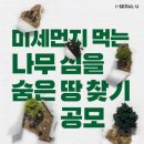 심을