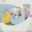 미소펫 | 영천 강아지분양 포메라니안분양 성공 후기! (+미소펫 찐후기)