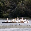 숏게임마스타 | 숏게임마스타파3 예약하기 방법 사이트 맛집 위치 가격
