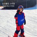 오크밸리스키강습 | 오크밸리 스키장 리프트권 8살 아이랑 스키강습 후기