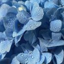 오늘해 네일 이미지