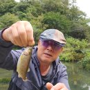 북동천 Daum카페
