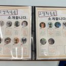 안녕, 고영희 이미지