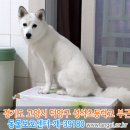 성석초등학교 이미지