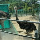 동화힐링캠프 티스토리
