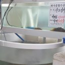 도심속바닷가식당