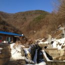 아미사입구 Daum카페
