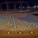 썬플라워 에너지 이미지