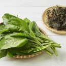 곤드레향 이미지