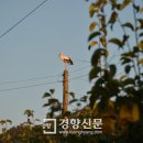 J0018 경향신문