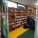 아이세상유치원 | 트라바움 평내동 명문 유치원 발표회 및 제9회 졸업식 참석 후기