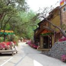 양평불한증막 이미지