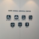 미르 동물병원 이미지