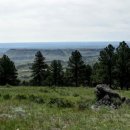 고영삼복싱아카데미 이미지