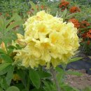 부리농장 이미지