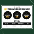 렛미인X모리바이브두피탈모