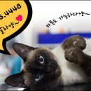 JP당구클럽 이미지