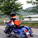 할리 이미지