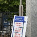 성산패총로 | 경남 창원 겹벚꽃 명소 ‘성산패총’ 다녀온 후기
