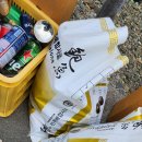 완도읍-4 이미지