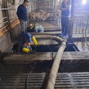 효림농장 이미지