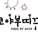 강아지부띠끄