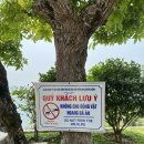 비밀의 사원 이미지