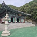 봄 날 숲길따라, 사하 林[산림치유 평생학습 프로그램] | [경상남도 창원시 진해구] 장복산조각공원