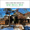 강원도 양양 캐디스 펜션 강추 내돈내산 후기 💚 친절하고 뷰 좋은 곳