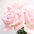 생앤화장품 이미지