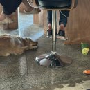 예스플리즈 이미지